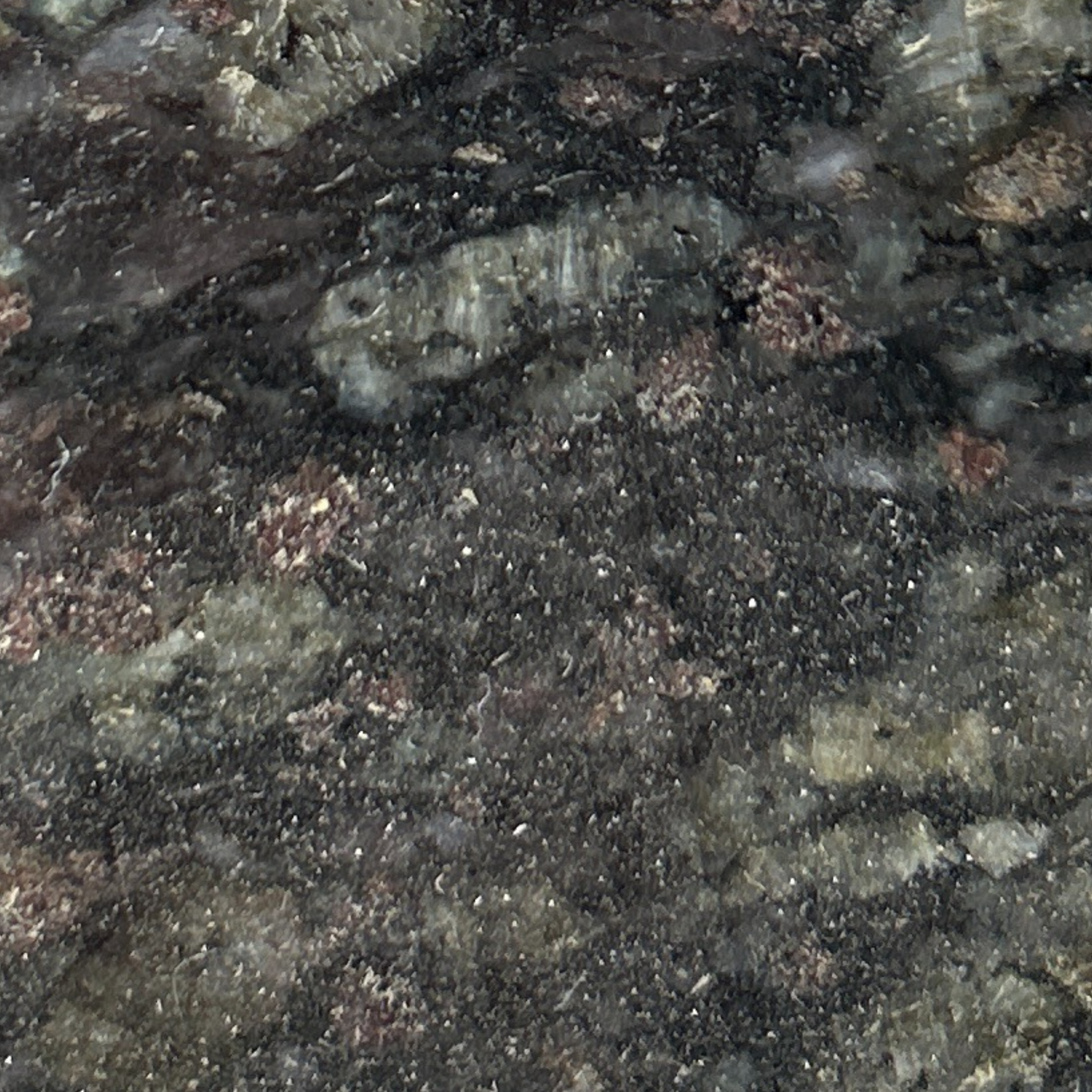 Norwegian Green Granite
