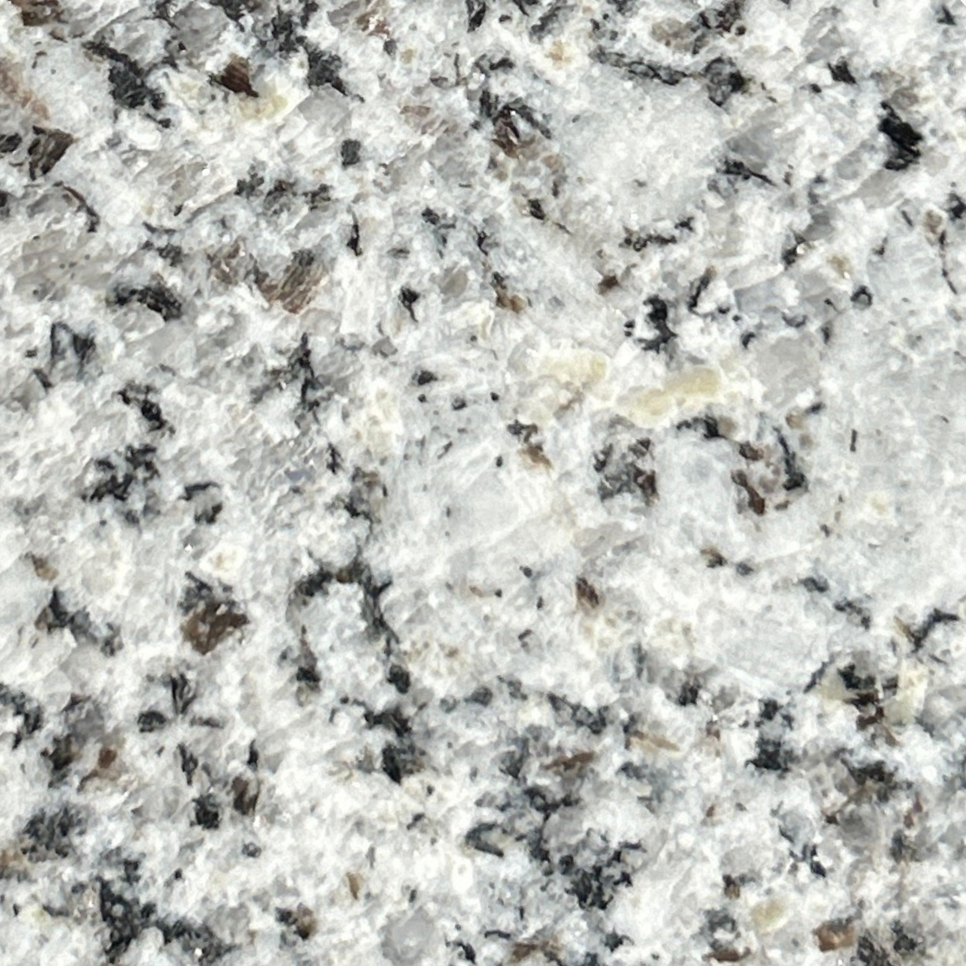 Silver White Granite